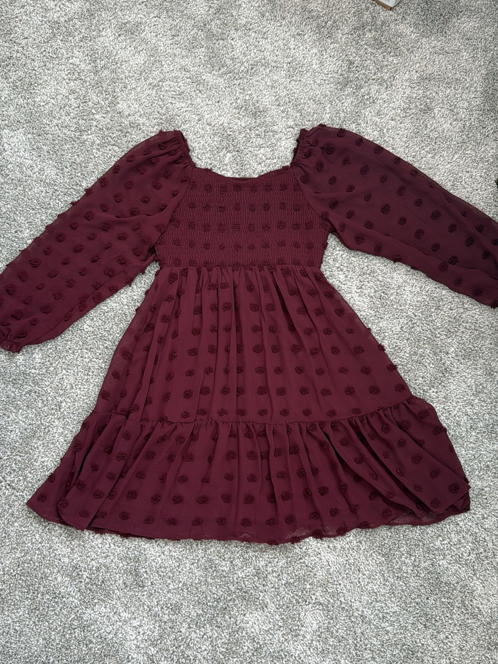 Zunie Girls Burgundy Swiss Dot Smocked Long Sleeve Dress Size 10